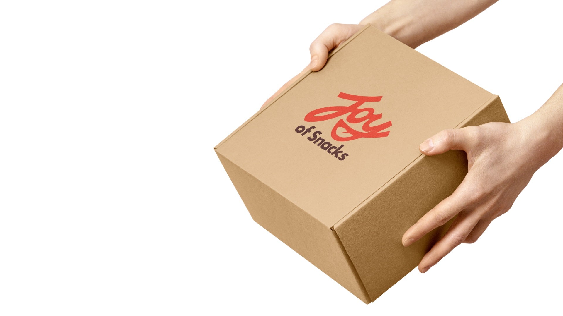 Snack box with 'Joy of Snacks' logo held by a person on a white background